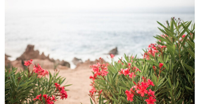 Importance of prioritizing your mental health