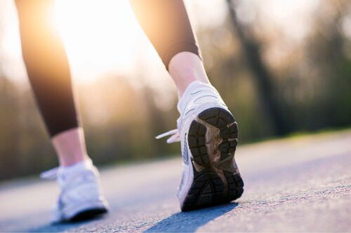 ppc5 nucleoanalytics